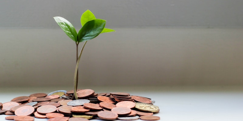 Financial planning charts illustrating a long-term primer guide